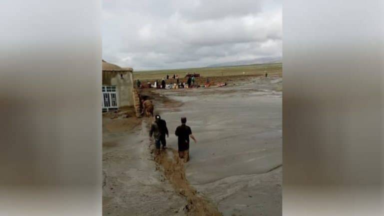 Flash flood leaves 12 dead in Herat