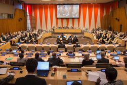 Afghanistan elected as ECOSOC member