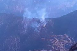174 hectares of forests burned in Nooristan