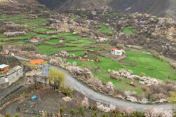 Taliban in Panjshir arrest a former army member and a civilian