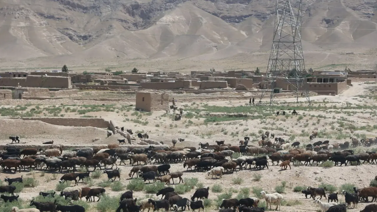 UNAMA: Drought and Desertification Threaten Lives and Food Security in Afghanistan