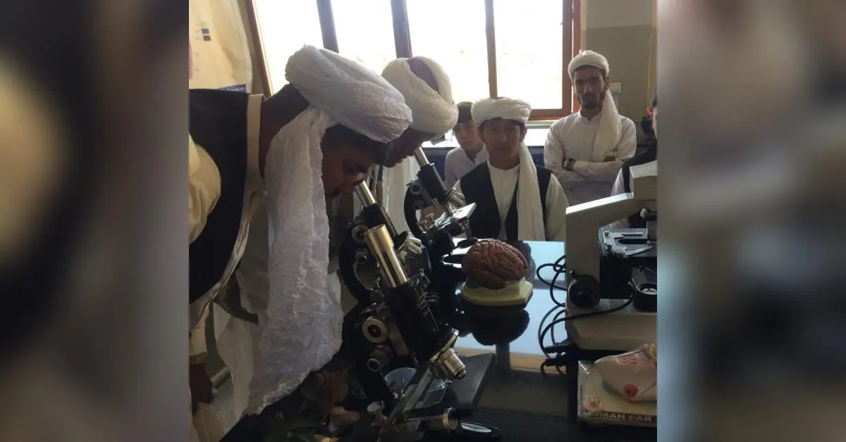 Taliban Official Claims Best Education Environment Despite Girls’ Education Ban